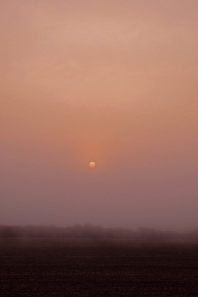 misty morning by newbank