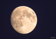8th Sep 2014 - The Moon