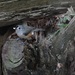 Tufted Titmouse eating a seed by annepann