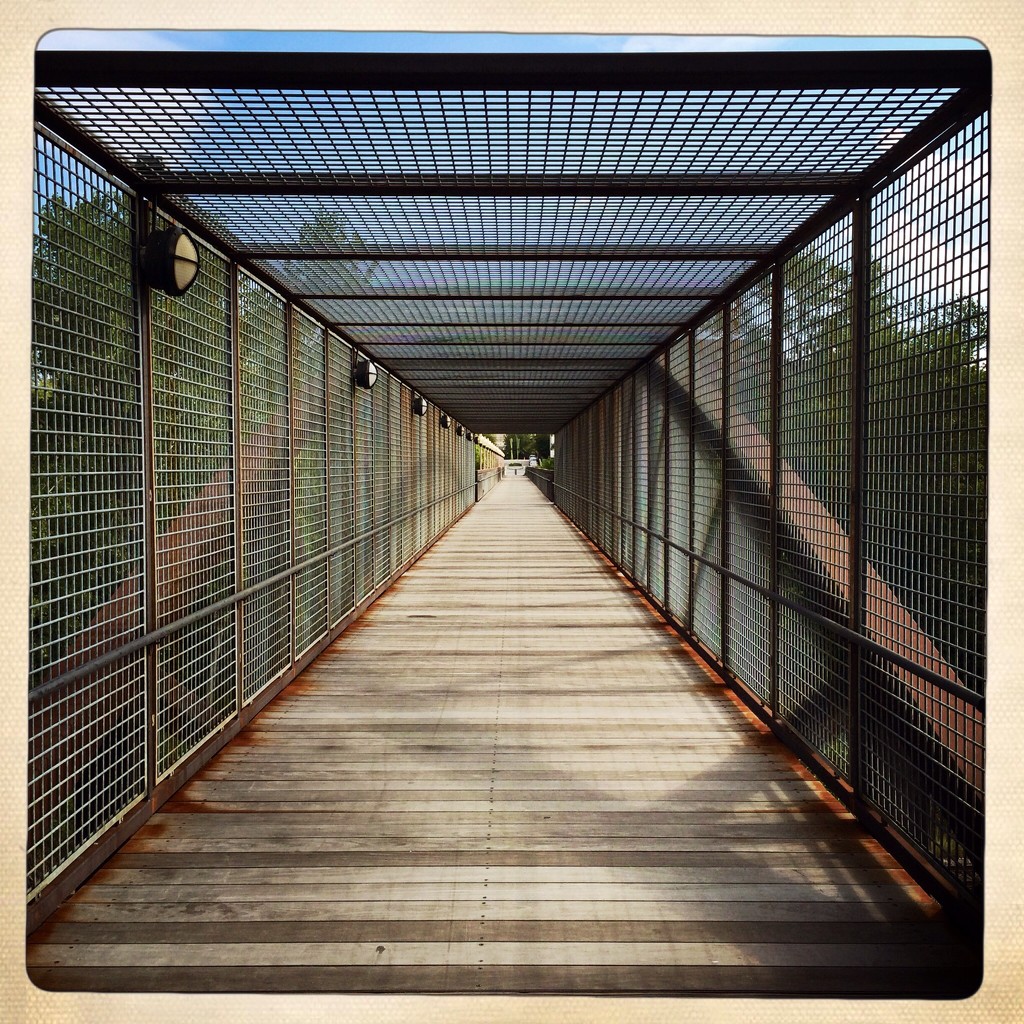 Walking Bridge by rosiekerr