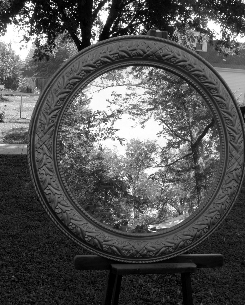 September 9: Mirror Landscape Reflections by daisymiller