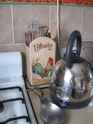 10th Sep 2014 - A Chicken In the Kitchen!
