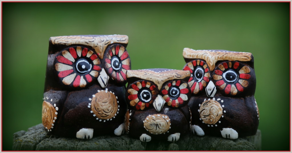 Owls by dide