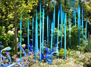 4th Sep 2014 - Blue Glass In The Garden