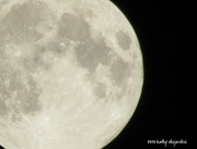 9th Sep 2014 - Full Moon