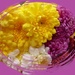 a bunch of chrysanthemums by quietpurplehaze