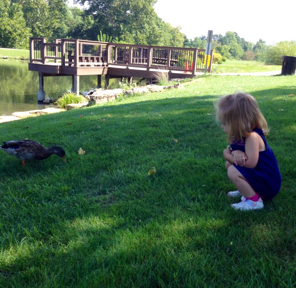 Telling Mr. Duck she is all out of bread by mdoelger