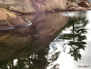 9th Sep 2014 - Rock, Pine and Water 