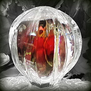 26th Aug 2014 - My crystal ball predicts fall....