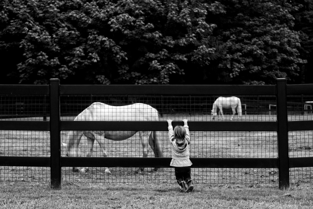 Hangin' at the Farm by tina_mac