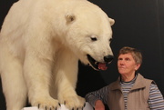 11th Sep 2014 - It's so cold even a polar bear came to visit!