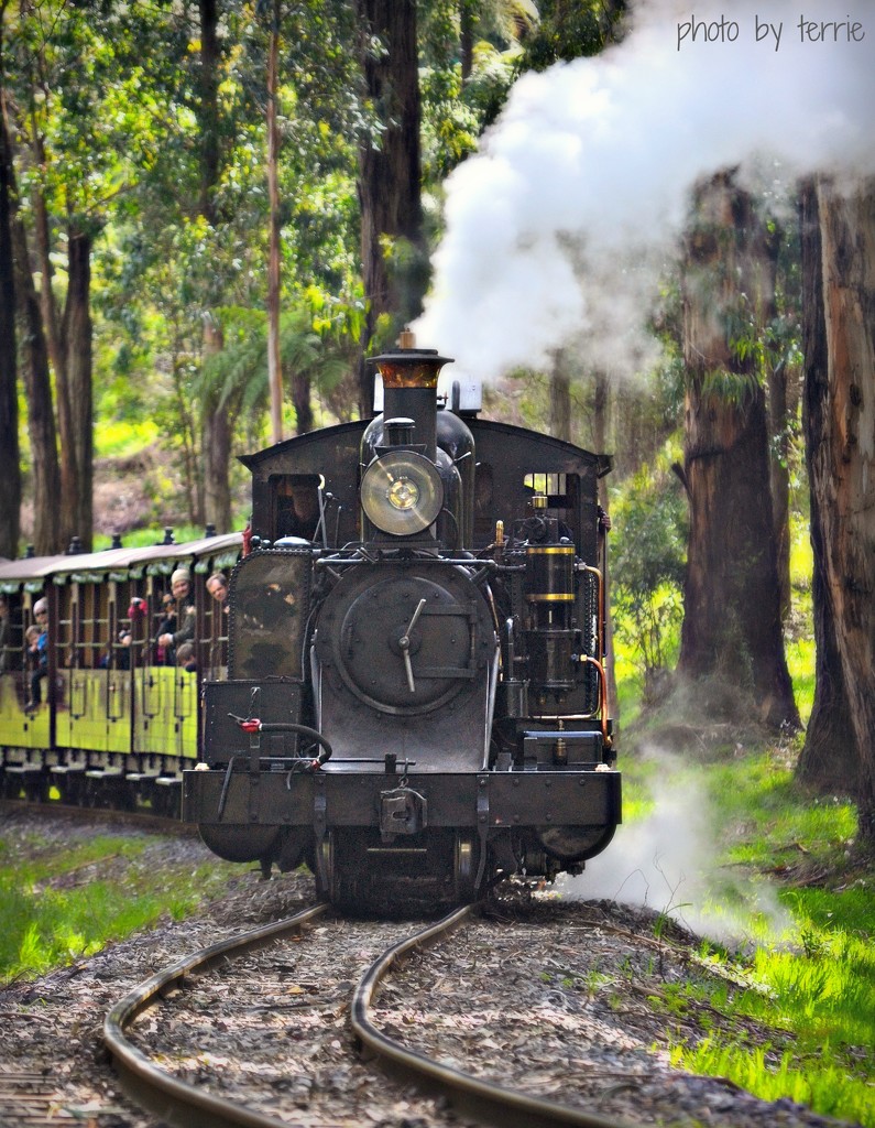 Puffing Billy by teodw