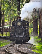 12th Sep 2014 - Puffing Billy