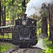 Puffing Billy by teodw