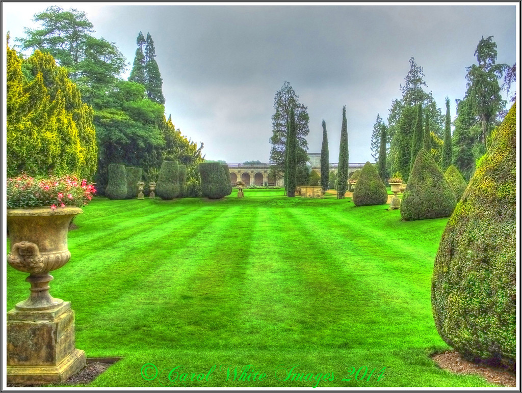The Formal Garden,Castle Ashby,Northampton by carolmw