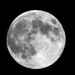 Almost Full Moon by bruni