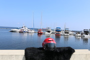 24th Aug 2014 - Helmet, sheep skinn pelt, named Sophie, Thunder Bay.