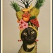 I'm Chiquita Banana Kitty Cat by allie912