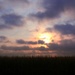 Sunrise Over The Cornfield by digitalrn