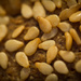 Sesame seeds by khrunner