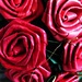 Roses are red.. by alia_801