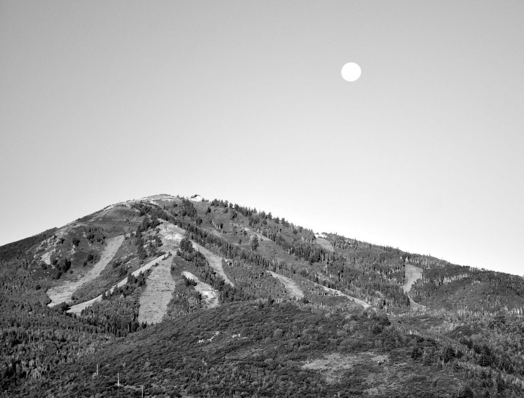 Morning Moon in the Mountains by stownsend