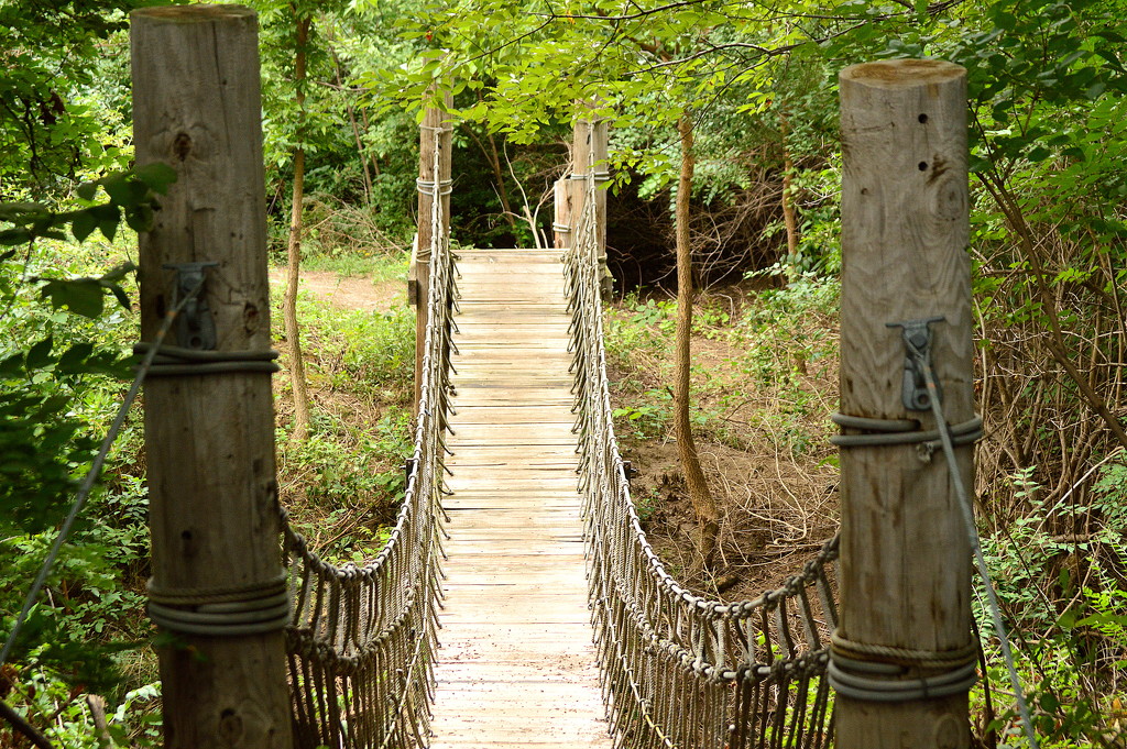 Bridge of Rope by kareenking