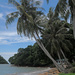 Pulau Sayak palms by ianjb21