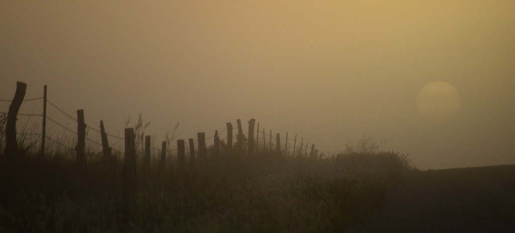 Foggy Fence, Smazy Sun by kareenking