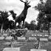 Elks Rest by kannafoot