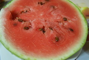 31st Aug 2014 -  sweet watermelon