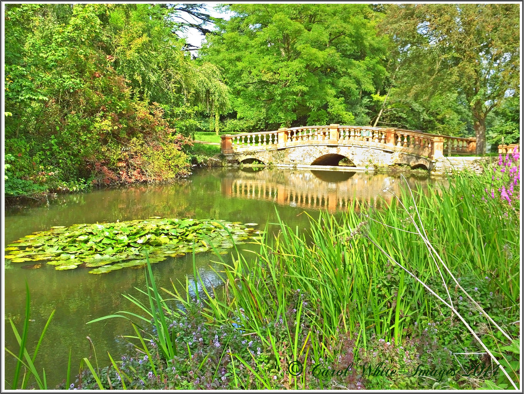 Bridge By The Arboretum,Castle Ashby,Northampton by carolmw