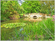 14th Sep 2014 - Bridge By The Arboretum,Castle Ashby,Northampton