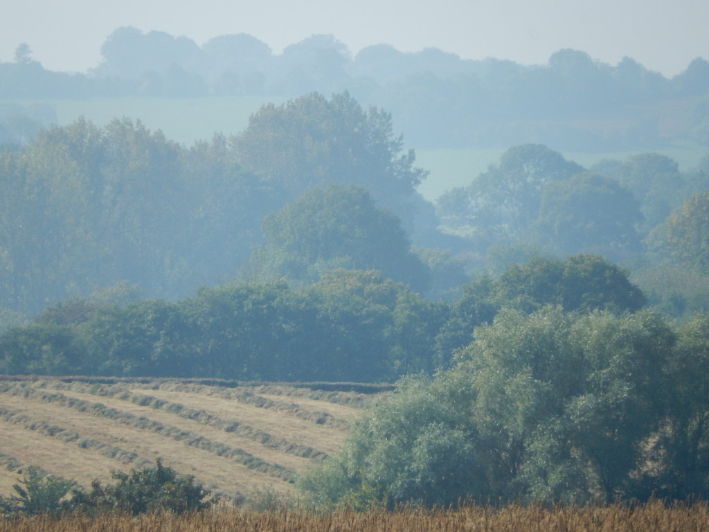 Harvest time... by snowy