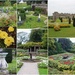 Lyme Hall Gardens by oldjosh