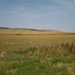 The beautiful prairies. Saskatchewan. by hellie