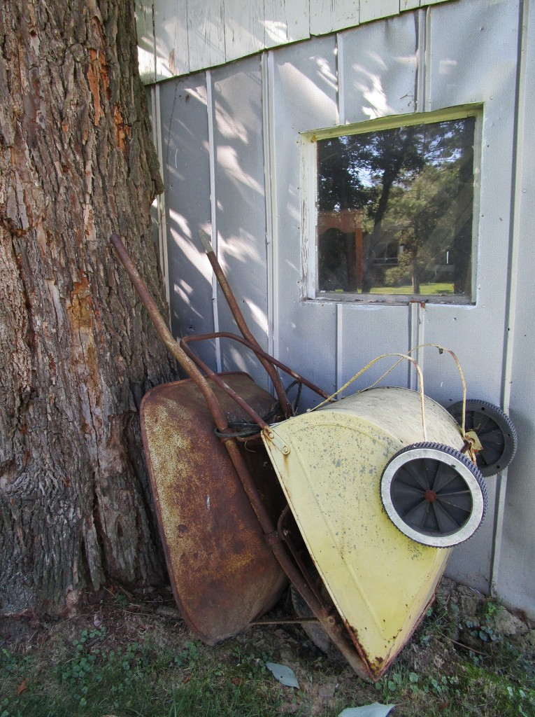 Old Wheelbarrows by tunia