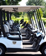 14th Sep 2014 - Golf Carts
