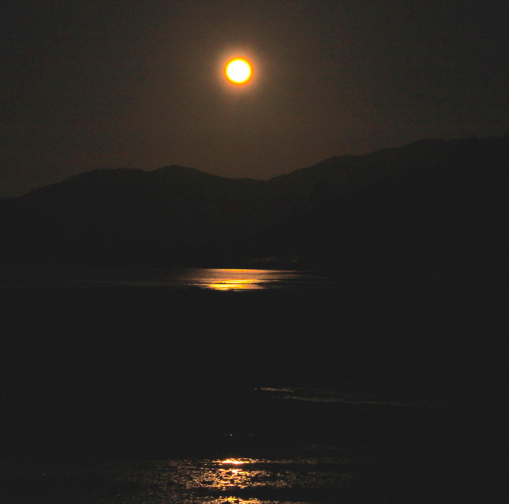 Full moon arising by kiwinanna