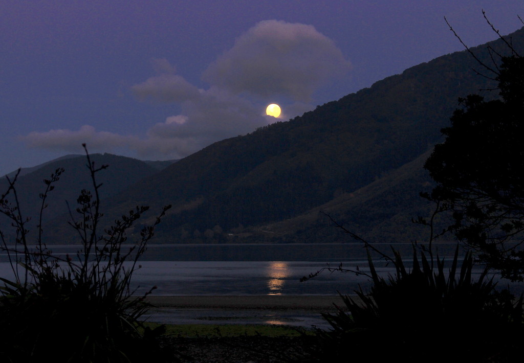 Moonset by kiwinanna