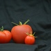 Mummy tomato, Daddy tomato and Baby tomato by rosiekind