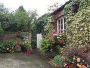 15th Sep 2014 - Anne's garden