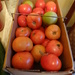 Tomatoes by brillomick