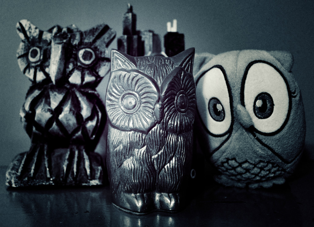 Owl City  by mej2011
