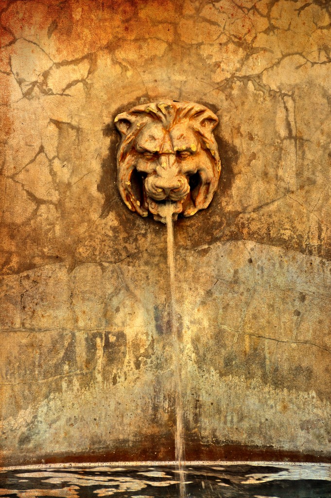 Lion Head Fountain by joysfocus