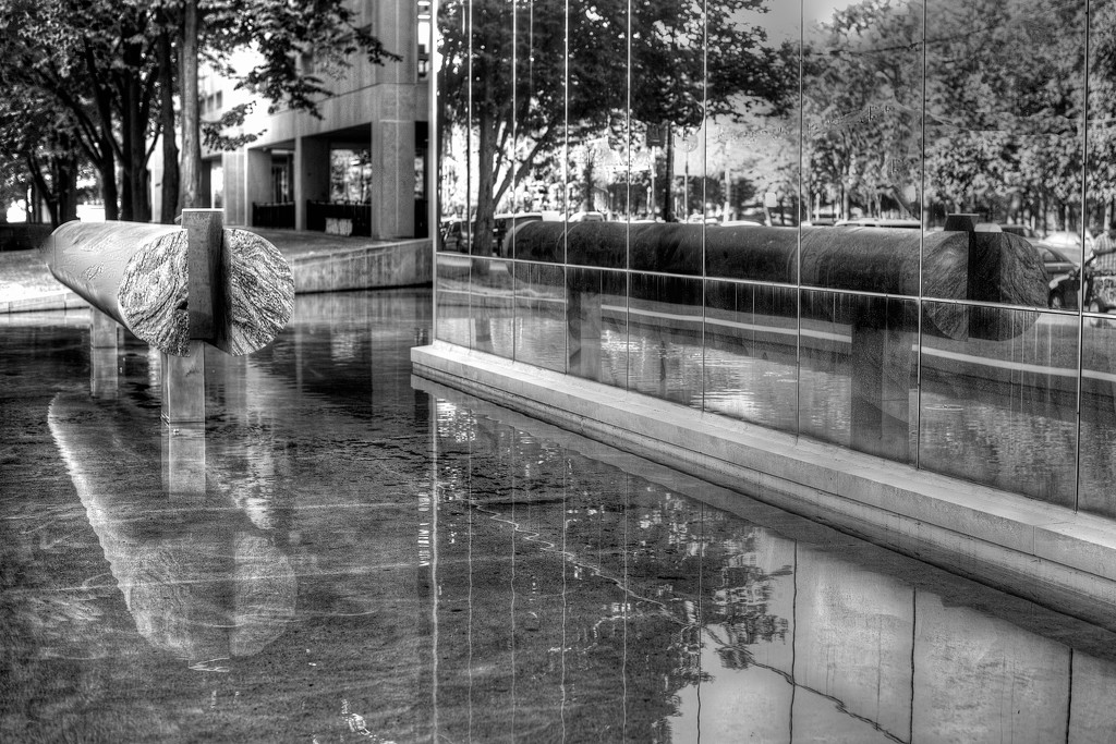 Reflections in Black & White by taffy