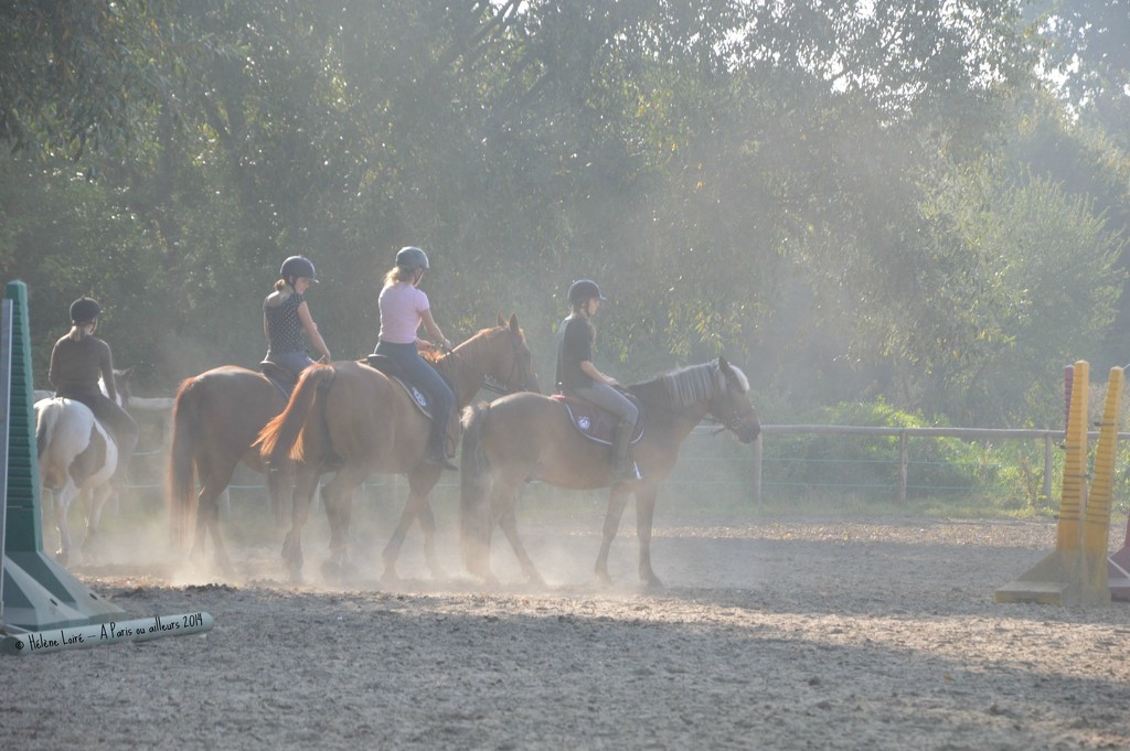 Morning riding lesson by parisouailleurs