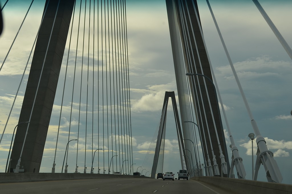 Ravenel Bridge, Charleston, SC by congaree