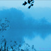 Blue Mist by carolmw