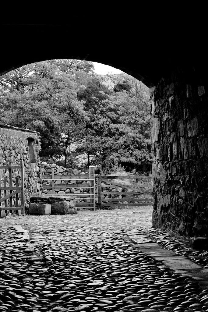 Cobbled Arch by motherjane